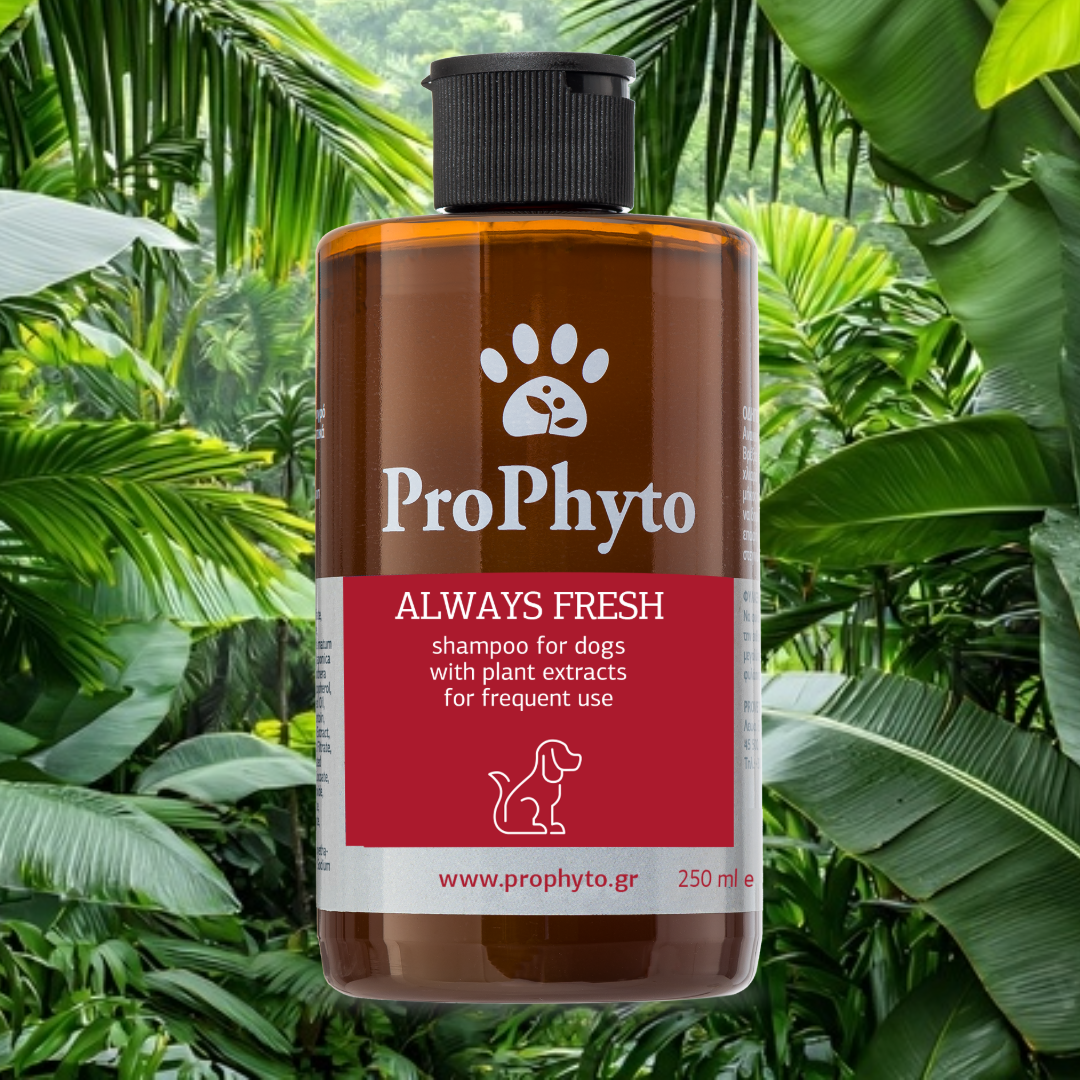 ProPhyto ALWAYS FRESH Shampoo with Plant Extracts for Dogs